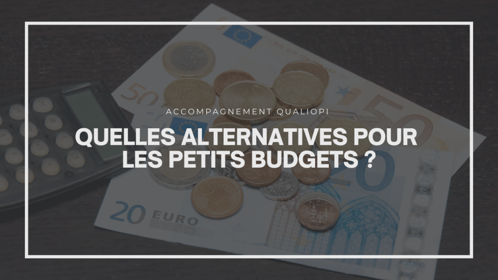 Quelles alternatives pour les petits budgets ?